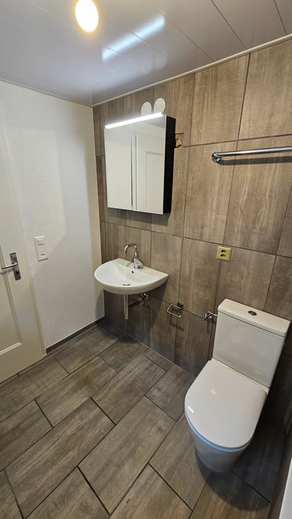 Frisch renovierte 3-Zimmer-Terrassenwohnung in Seewen SO – sofort verfügbar 2