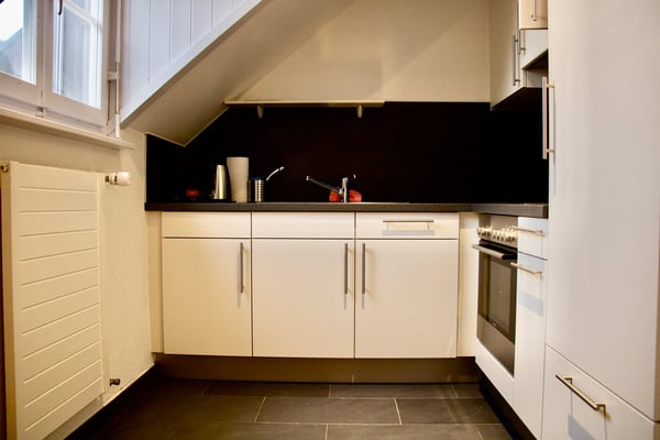 Charmant appartement de 2 pièces sous les toits à Carouge 4