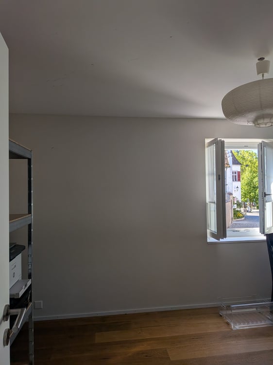 Grosszügige neue Wohnung in Rheinau 5