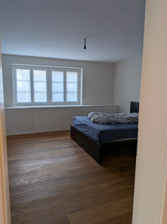 Grosszügige neue Wohnung in Rheinau 3