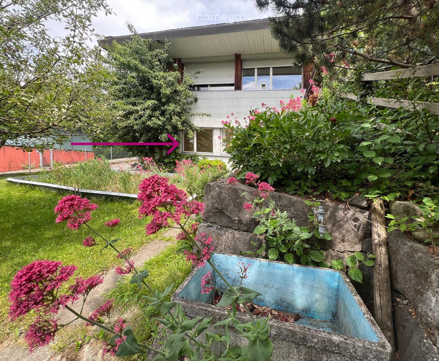 Garden with a stone fountain, lush greenery, and colorful flowers, with a modern house in the background.