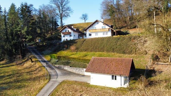 Einzigartiges Ensemble bestehend aus 2 traumhaften Einfamilienhäusern in Klettgau-Bühl zu verkaufen 22