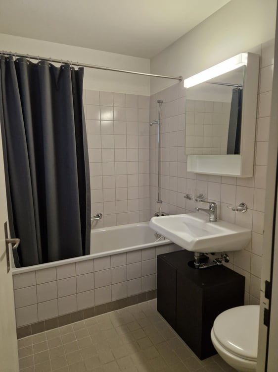 Helle 1.5-Zimmer-Wohnung in Zürich-Wipkingen 5