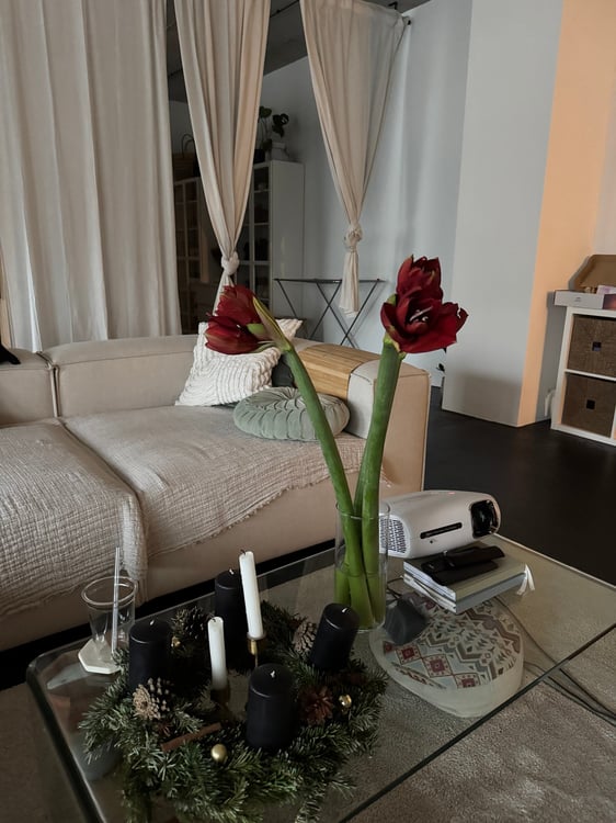 Modernes 1.5-Zimmer-Loft an der Schärenmoosstrasse in Zürich – Sofort verfügbar! 3