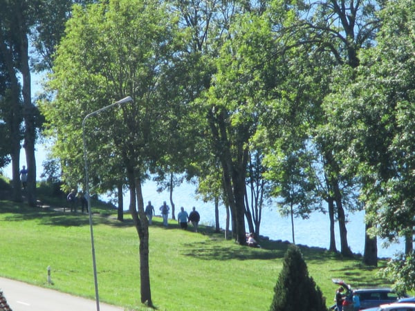 Terrain à bâtir d'exception à 1342 Le Pont, pieds dans l'eau du lac de Joux 3