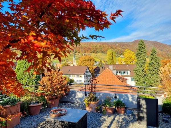 Helle Attikawohnung mit schöner Aussicht, grosser Terrasse und Garten über den Dächern von Wettingen 1
