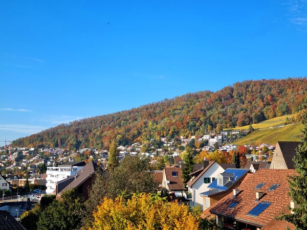 Helle Attikawohnung mit schöner Aussicht, grosser Terrasse und Garten über den Dächern von Wettingen 3