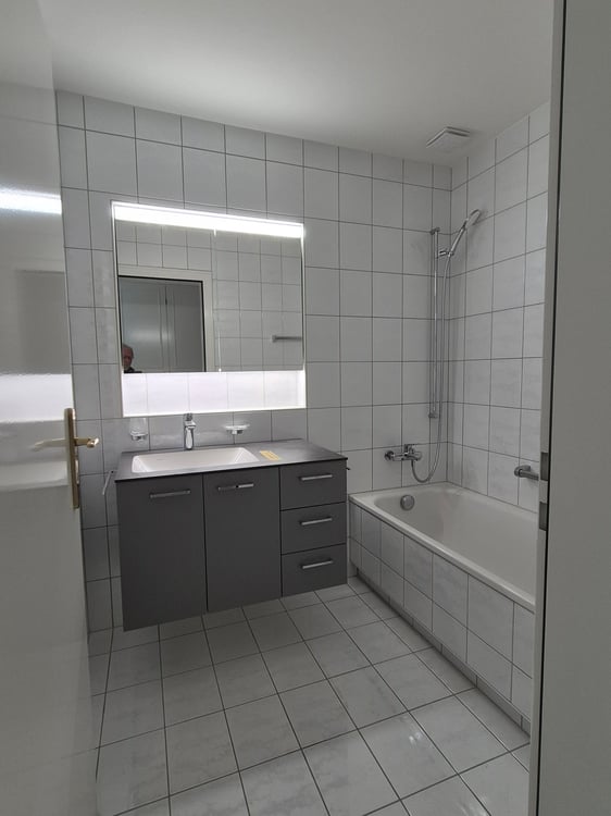 helle 3 1/2 Zimmerdachwohnung mit Cheminée an zentraler Lage nähe See 3
