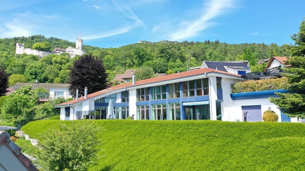 Grosszügiges 6-Zimmer-Einfamilienhaus mit Pool und herrlicher Aussicht in Oensingen 3