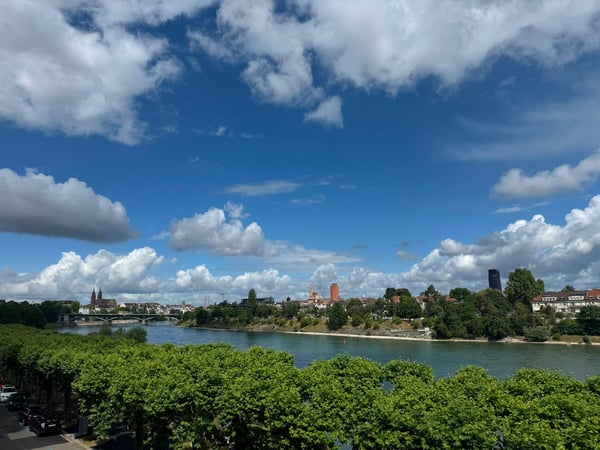 DIREKT AM RHEIN - Blick aufs Wasser 12