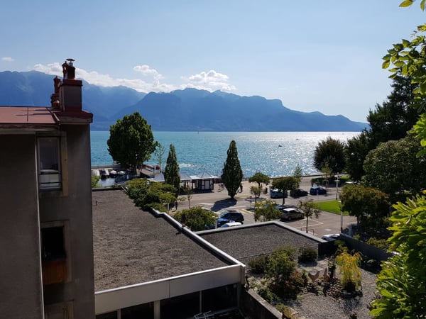 Magnifique 2 pièces avec cachet, dégagement lac 4