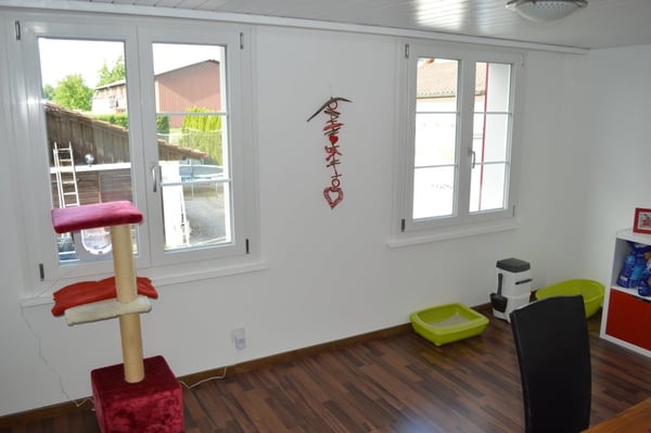Wohnung in Neuwilen 6