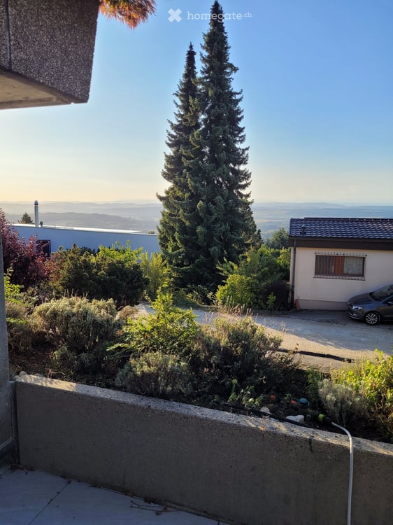 2 1/2 Z. - Terrassenwohnung in Leubringen 6