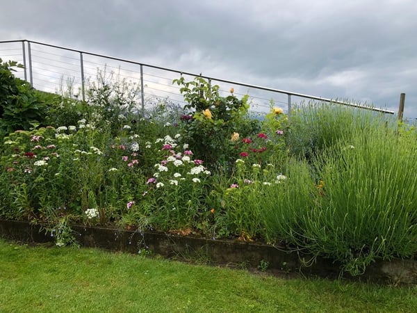 Sonnige Gartenwohnung mit viel Privatsphäre, hochwertigem Ausbaustandard sowie Berg- und Seesicht 15