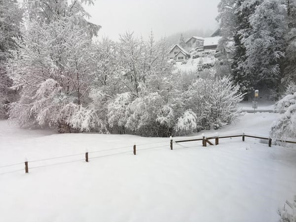 Sonnige Gartenwohnung mit viel Privatsphäre, hochwertigem Ausbaustandard sowie Berg- und Seesicht 14