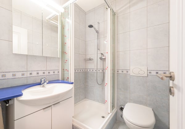 6 pièces familial de 136 m², 2 parkings inclus – au calme, en fond de chemin privé, Meyrin Village 17