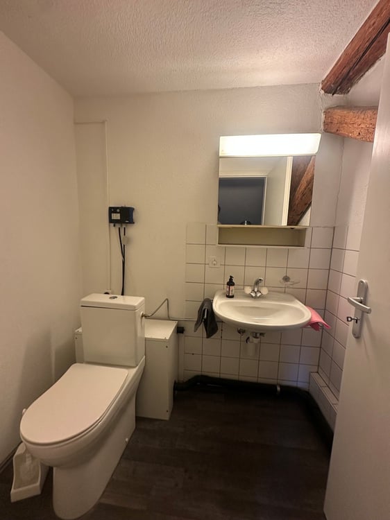 Charmante 3-Zimmer-Dachwohnung im Altbau in Dornach 3