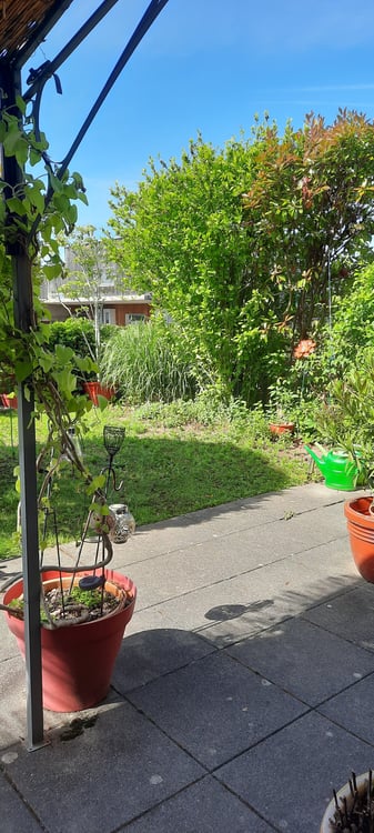 Superbe appartement 5.5 pièces avec jardin privatif (env. 132 m²) 5