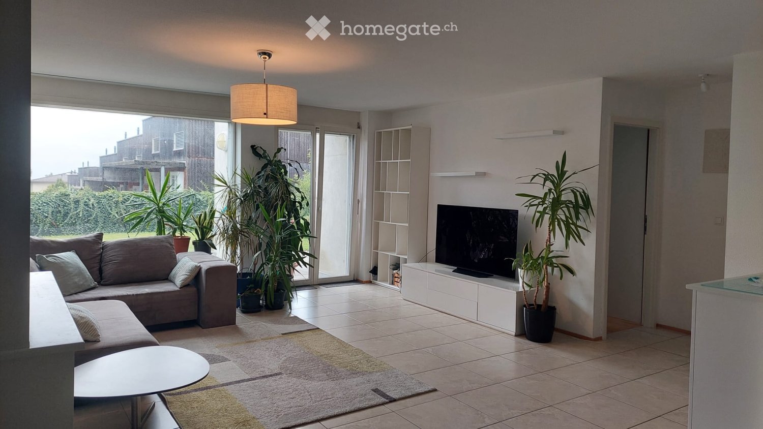 Modern living room with a grey sofa, coffee table, television on a white stand, floor lamp, shelves, and several potted plants near large windows and sliding glass doors.