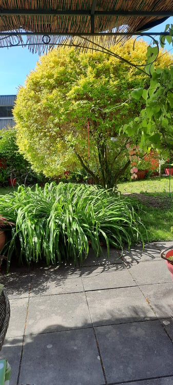 Superbe appartement 5.5 pièces avec jardin privatif (env. 132 m²) 4