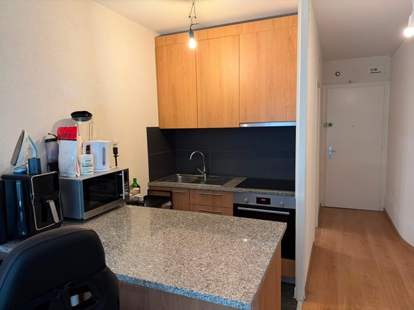 LEASE TAKE OVER - RUE SAUTTER 13, 1205, GENEVA 3