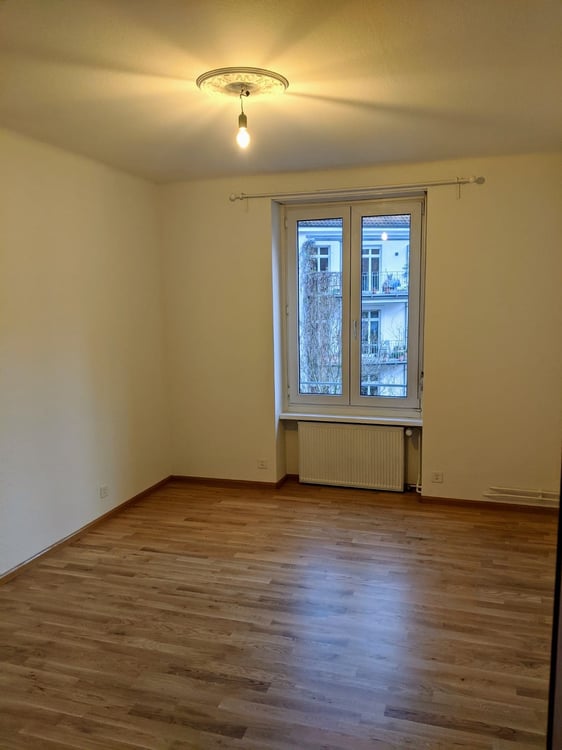 Charmante 3-Zimmer-Altbauwohnung mit Balkon und Kamin in Basel 14