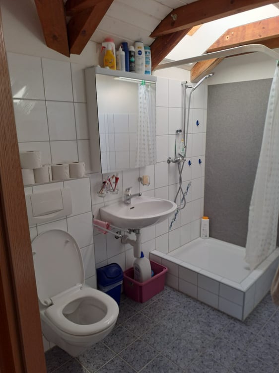 Charmante 2.5-Zimmer-Dachwohnung mit Charm und Nähe zur Natur 6