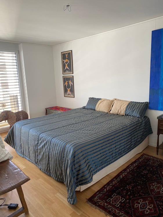 Möblierte 3.5 Zimmer Wohnung in Zurich/Greencity 4