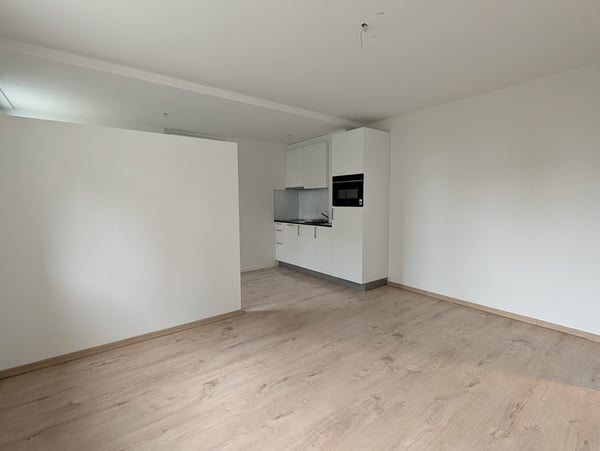 Frisch renoviertes Studio an der Bruggerstrasse - perfekt für Pendler und Studierende 3