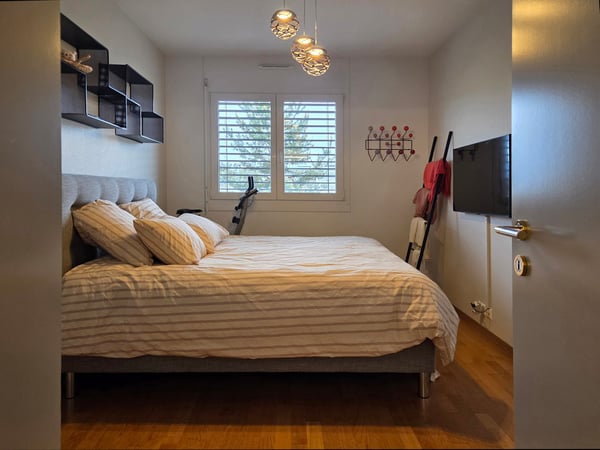 Spacieux appartement de 6 pièces avec balcon et belle vue à Versoix 6