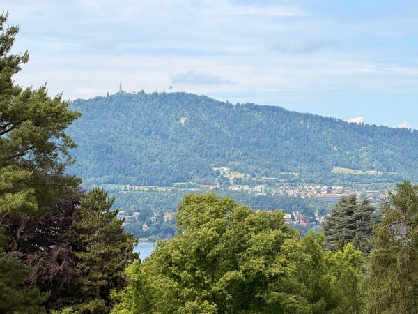 Stunning 4.5-Room Attic Apartment with Panoramic Views in Zollikon 3