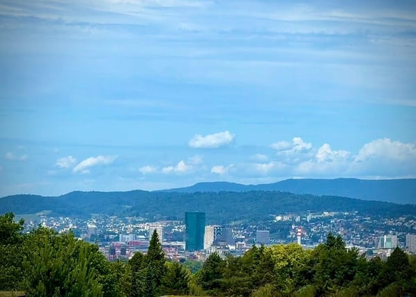 Stunning 4.5-Room Attic Apartment with Panoramic Views in Zollikon 2