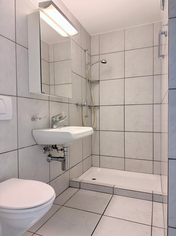 Stilvolle 3.5-Zimmer-Gartenwohnung an ruhiger Lage in Zollikerberg 9
