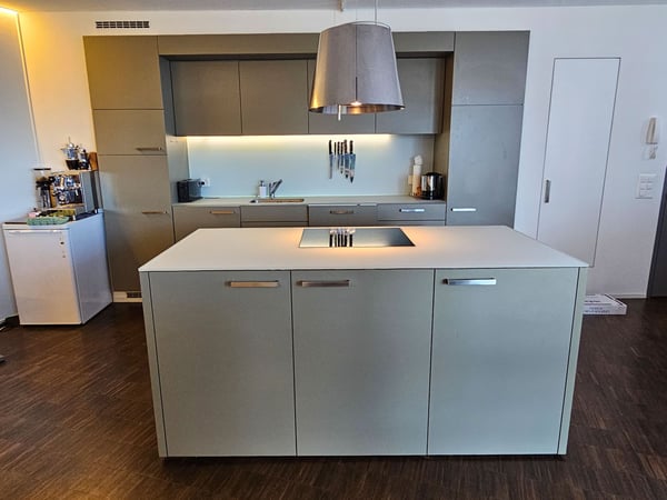 Modernes Loft-Apartment mit Loggia und herrlicher Aussicht in Uster 2