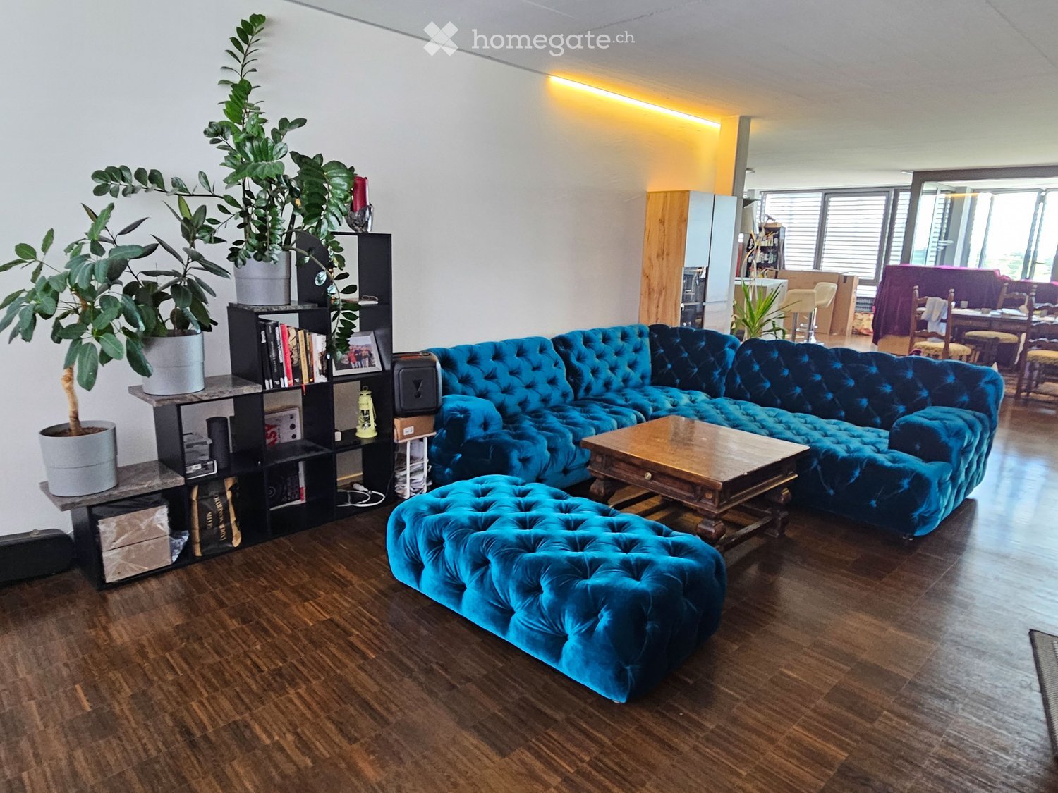 Living Room. Modern living room with a blue velvet sectional sofa, wooden coffee table, bookshelf with plants and books, and a dining area visible in the background.