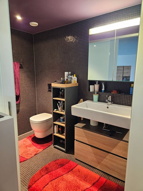Modernes Loft-Apartment mit Loggia und herrlicher Aussicht in Uster 3