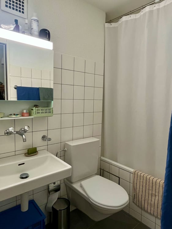 Helle 1.5-Zimmerwohnung in Allschwil, Grenze Basel-Stadt 4