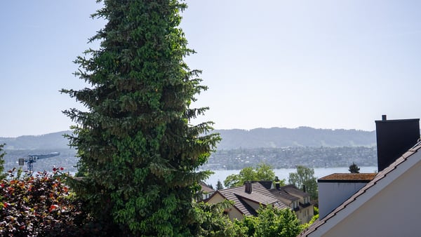 Aperçu de l'image de l'immobilier
