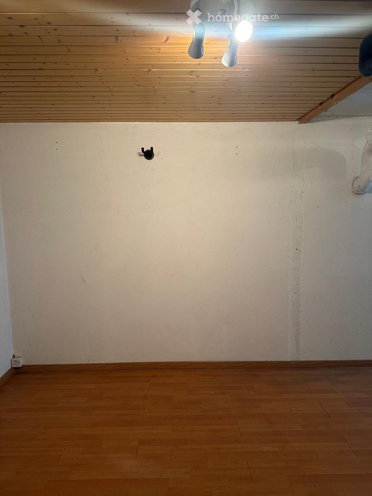 Empty room with wooden flooring and light-colored walls, featuring a ceiling light fixture and a wall-mounted hook.
