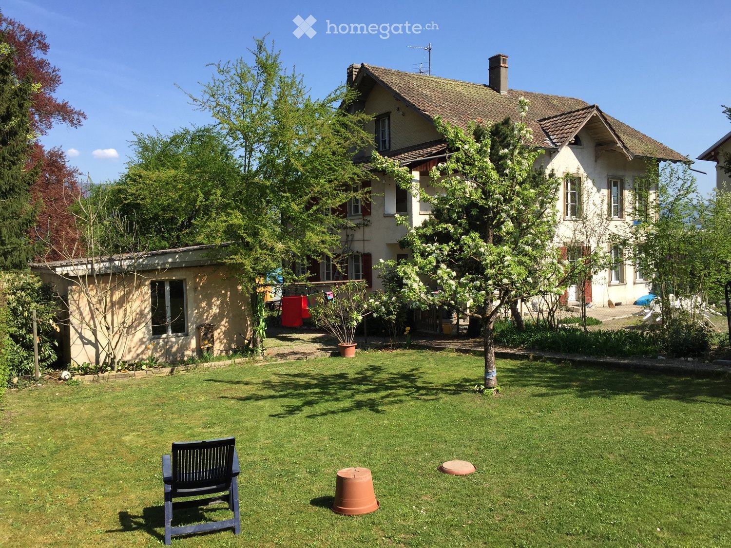 Lawn with a bench, a tree, and a house in the background.