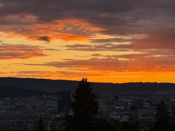5-Zimmer-Bijou am Zürichberg mit Einzelgarage, 2 Balkonen und wunderbarer Sicht über die Stadt 5