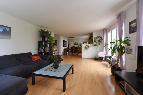 Grosszügige Wohnung mit Garten 8