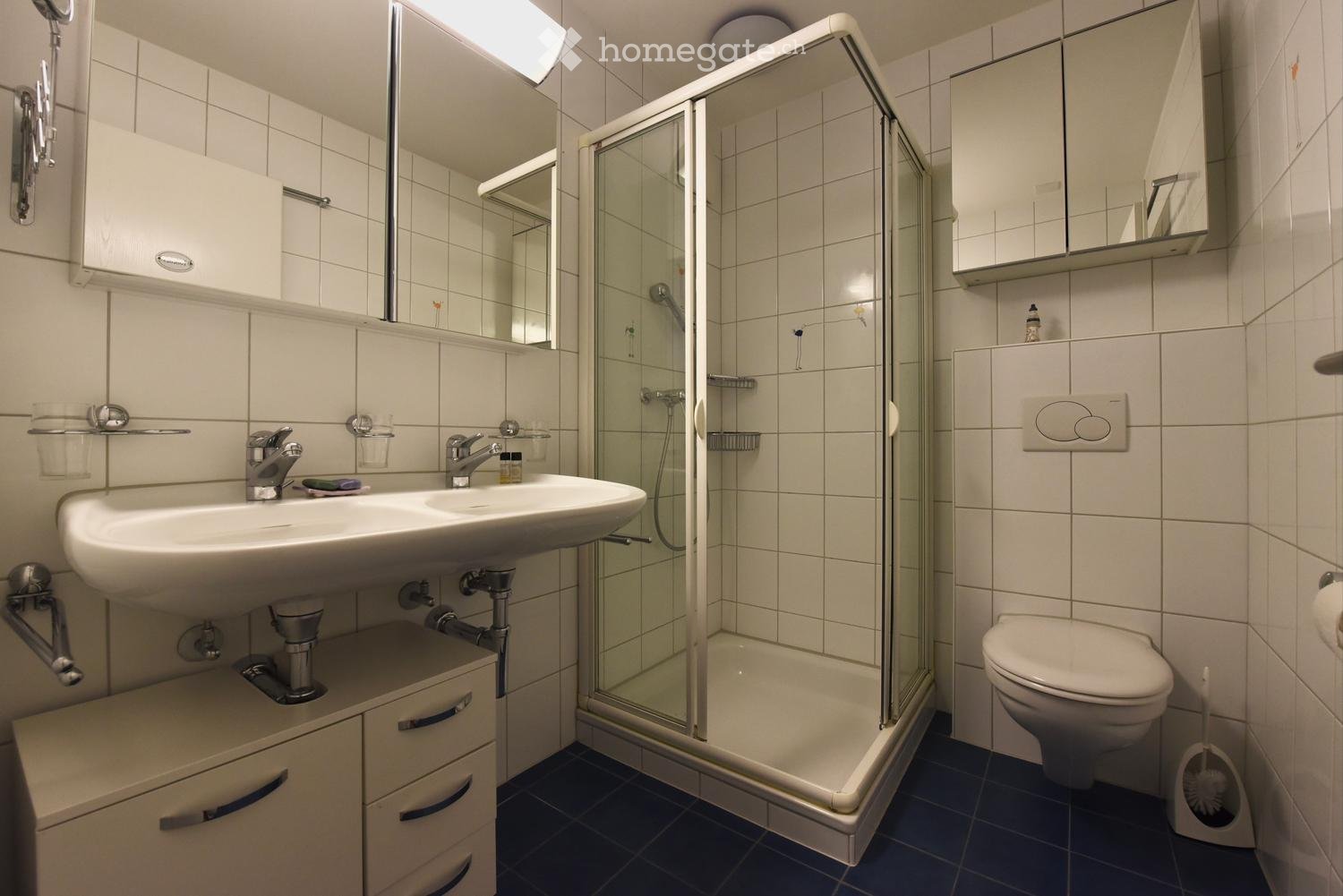 Immobilie in Hinteregg - Grosszügige Wohnung mit Garten - Bild 4