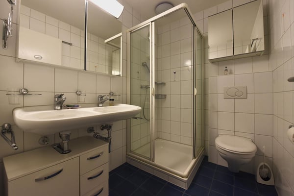 Grosszügige Wohnung mit Garten 5