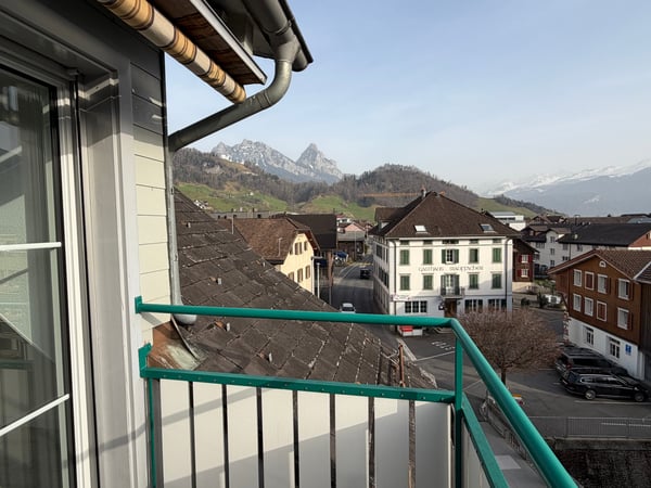 5,5 Zi. Dachwohnung in Steinen 5