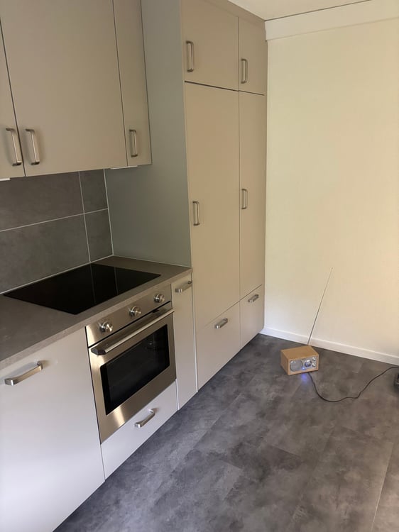 Charmante 3-Zimmer-Wohnung im Erdgeschoss in Günsberg – neue Küche / Haustiere erlaubt. 2
