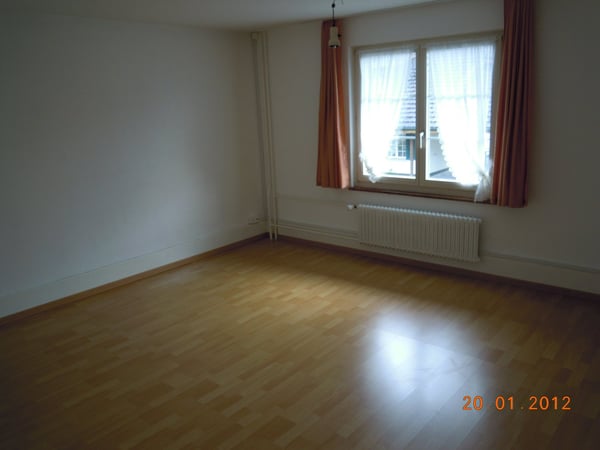Charmante 3-Zimmer-Wohnung im Erdgeschoss in Günsberg – neue Küche / Haustiere erlaubt. 3
