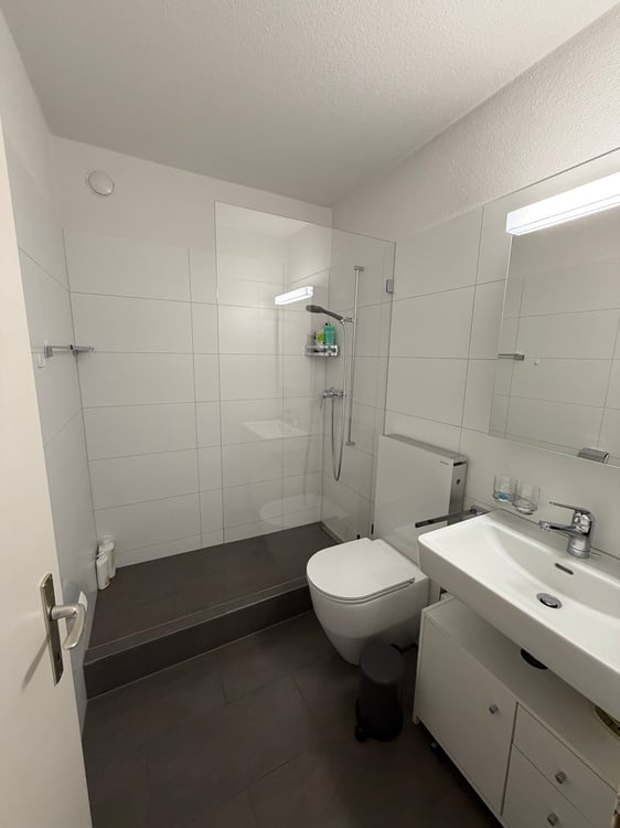 Helle 2-Zimmer-Wohnung mit Balkon und Garage in Thalwil 4
