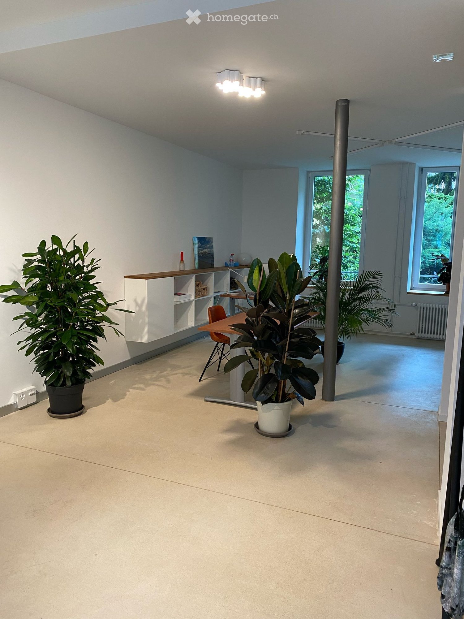 office, ceiling lamp, wooden table, orange chair, indoor plants, wooden shelves, radiator, electrical outlet