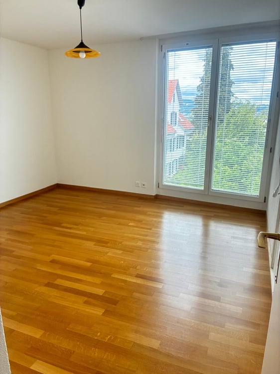 4.5-Room Apartment with Spectacular Lake & Alps Views in Wädenswil 7